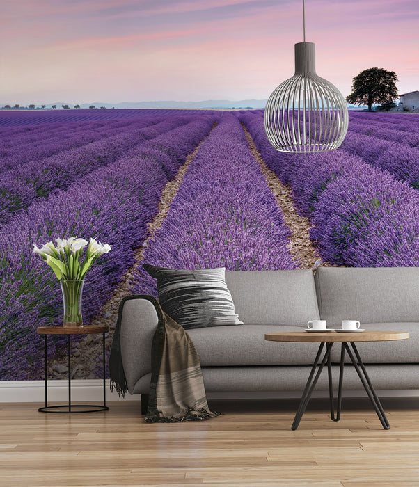 Digitaldruck Vlies Fototapete | Provence