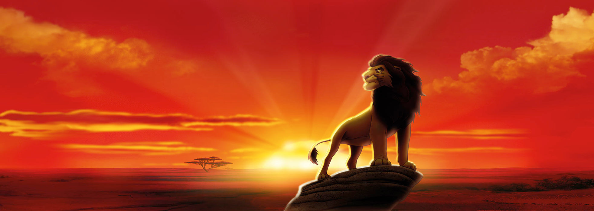 Papier Fototapete | The Lion King | 202 x 73 cm