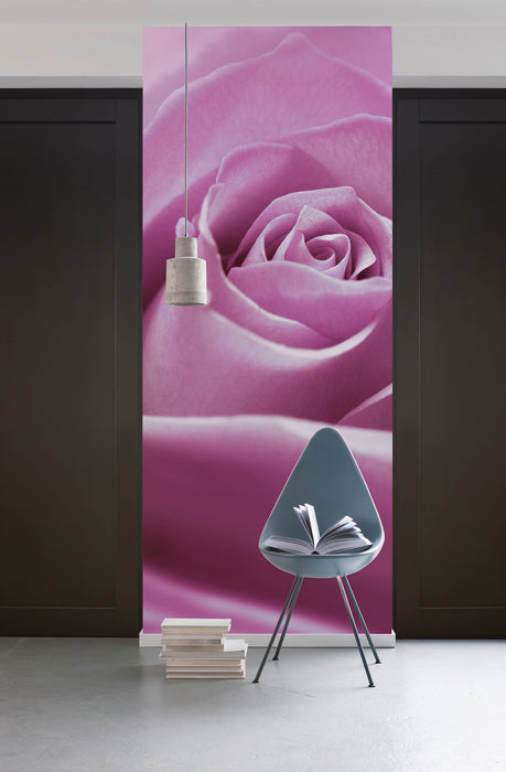 Digitaldruck Vlies Fototapete | Pink Rose | 100 x 280 cm