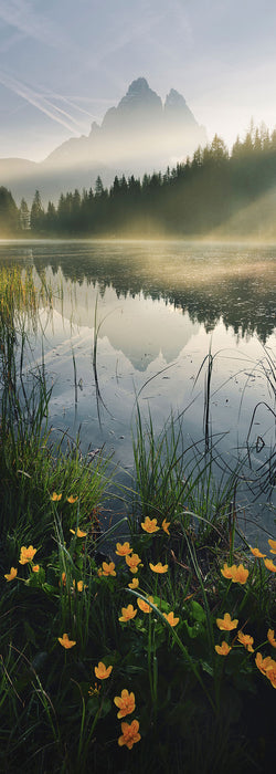Digitaldruck Vlies Fototapete | Morning Mist | 100 x 280 cm