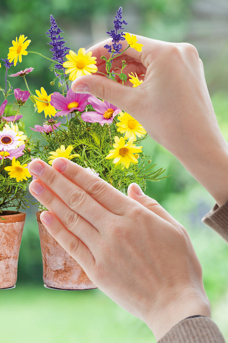 Komar NEU | Fenstersticker - Springtime - Größe 31 x 31 cm