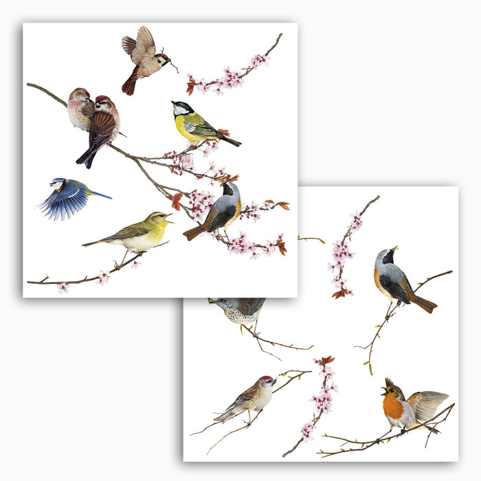 Komar NEU | Fenstersticker - Birds - Größe 31 x 31 cm