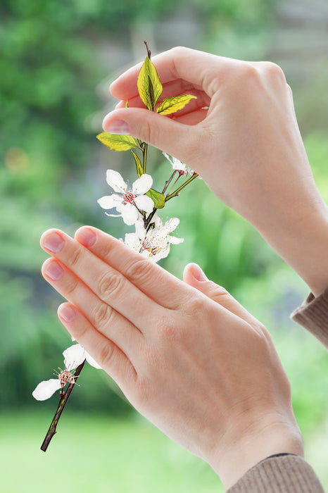 Komar NEU | Fenstersticker - Cheerful - Größe 31 x 31 cm