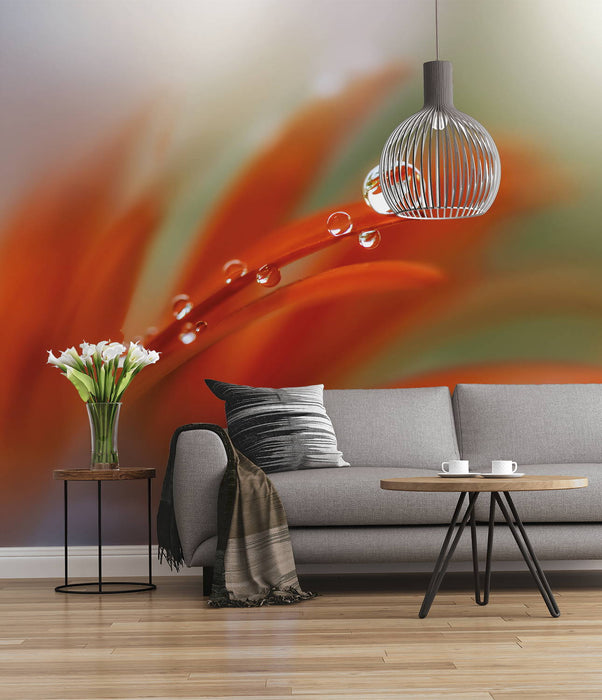 Digitaldruck Vlies Fototapete | Tautropfen | 300 x 250 cm
