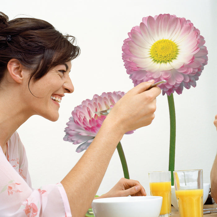 Komar NEU | Wandtattoo - Daisy - Größe 50 x 70 cm