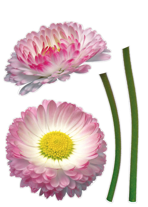 Komar NEU | Wandtattoo - Daisy - Größe 50 x 70 cm