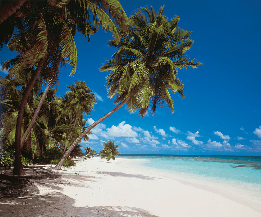 Digitaldruck Vlies Fototapete | Maldives | 300 x 250 cm