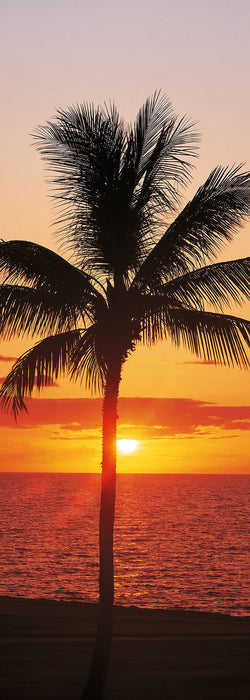 Digitaldruck Vlies Fototapete | Hawaii | 100 x 280 cm