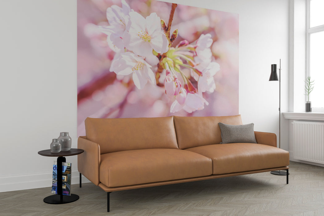 Vlies Fototapete | Pink Blossom | 248 x 184 cm