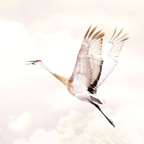 Papier Fototapete | Fable | 184 x 254 cm