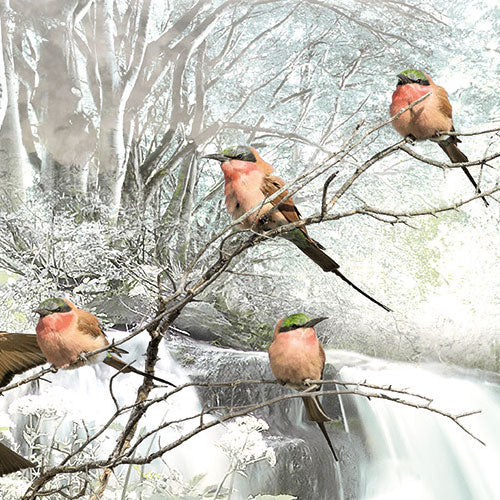 Papier Fototapete | Fable | 184 x 254 cm