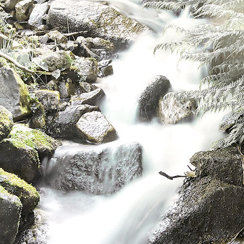 Papier Fototapete | Fable | 184 x 254 cm