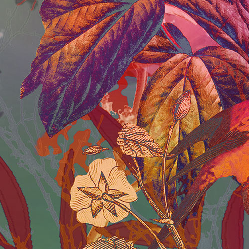 Papier Fototapete | Wild Garden | 184 x 254 cm