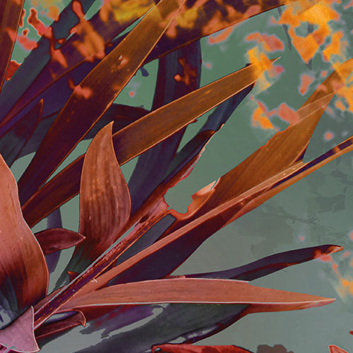 Papier Fototapete | Wild Garden | 184 x 254 cm