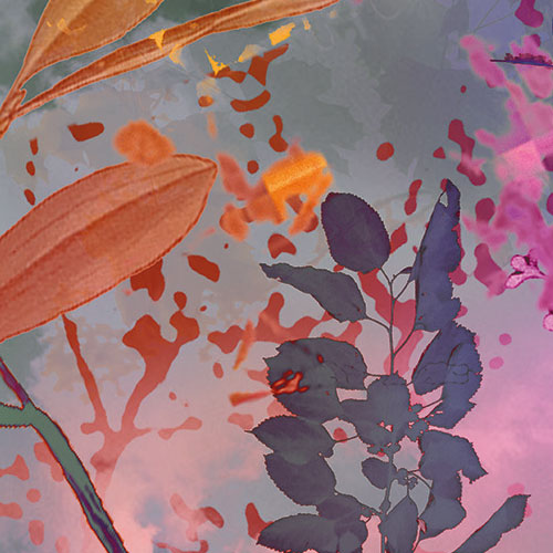Papier Fototapete | Wild Garden | 184 x 254 cm