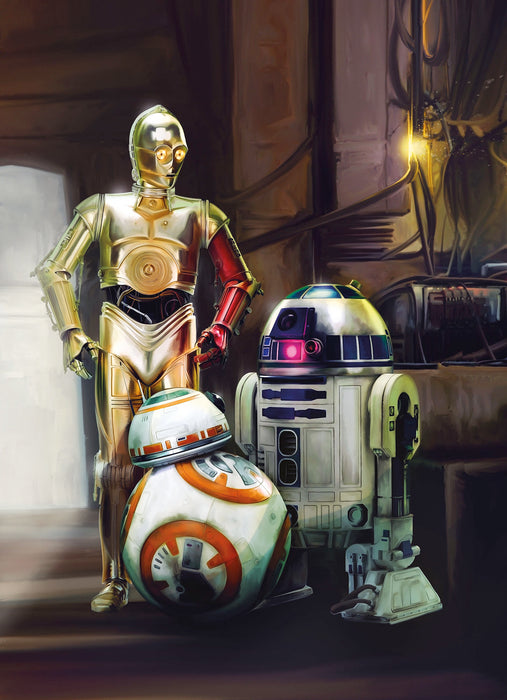 Papier Fototapete | STAR WARS Three Droids | 184 x 254 cm