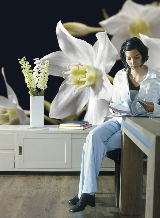 Papier Fototapete | Madonna | 254 x 184 cm