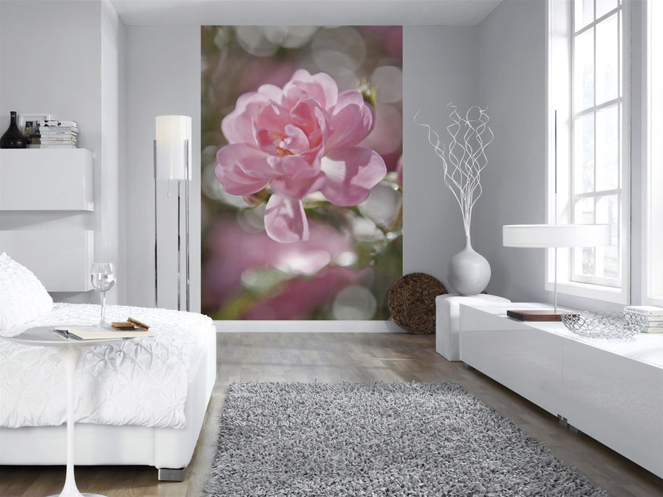 Papier Fototapete | Bouquet | 184 x 254 cm