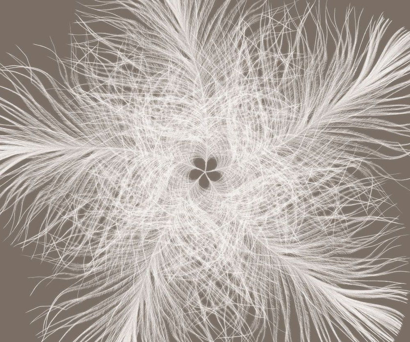 Komar | Vlies Fototapete | Federstern