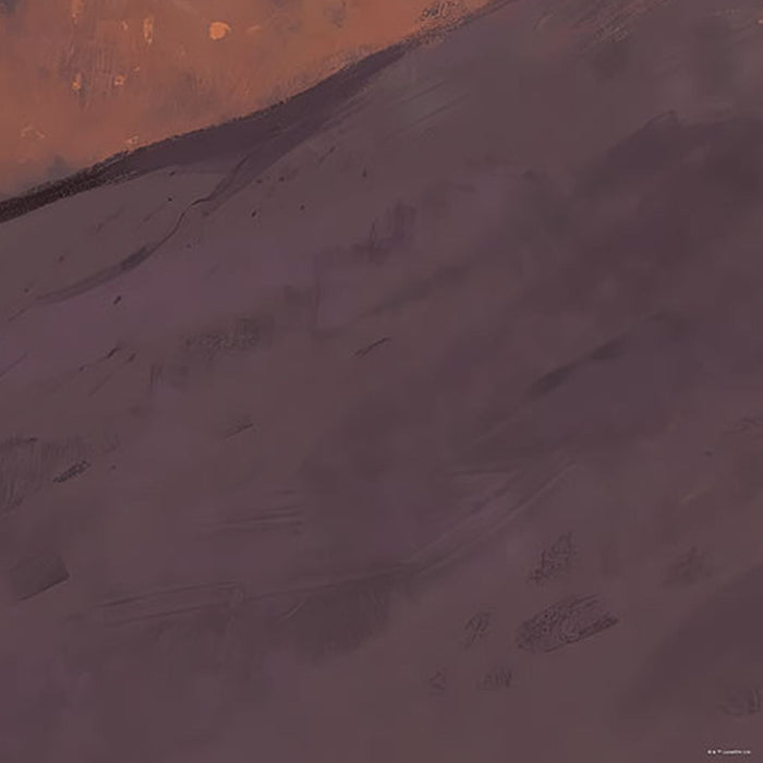 Vlies Fototapete | Mandalorian Escape | Größe 200 x 280 cm