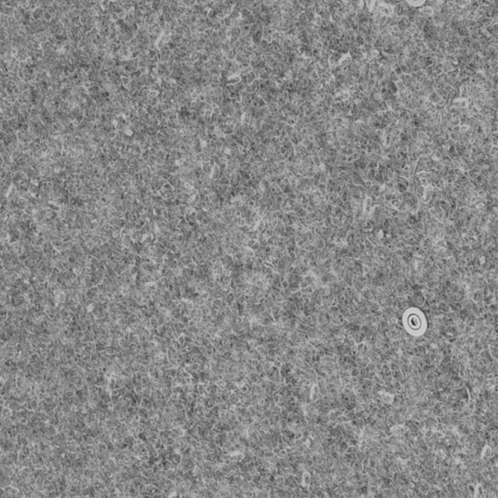 Hammerbacher | Sichtblende, Schallsch. 90° Eckwinkel, grau