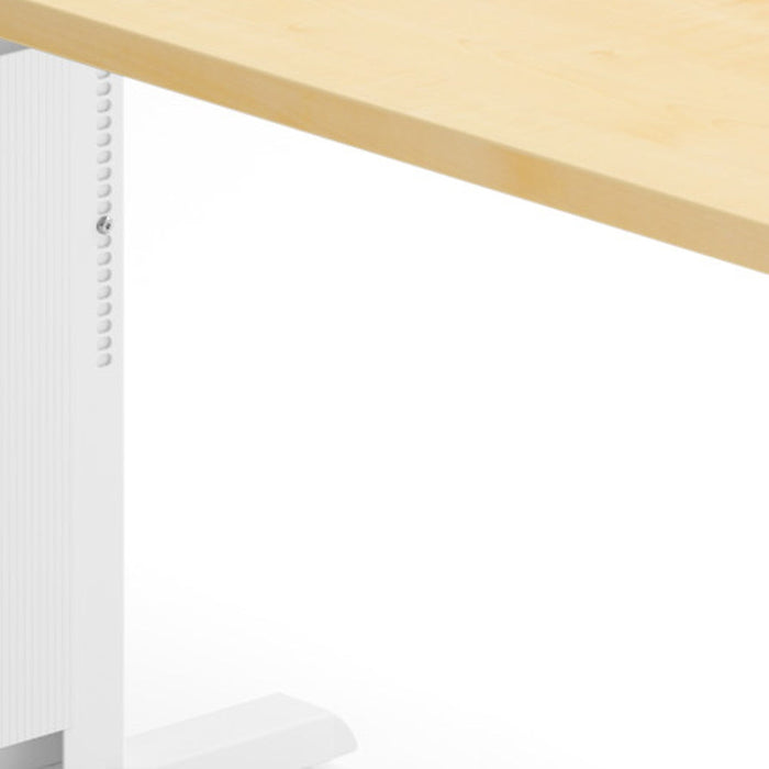 Hammerbacher | Schreibtisch C-Fuß 160x80cm Ahorn / Weiß