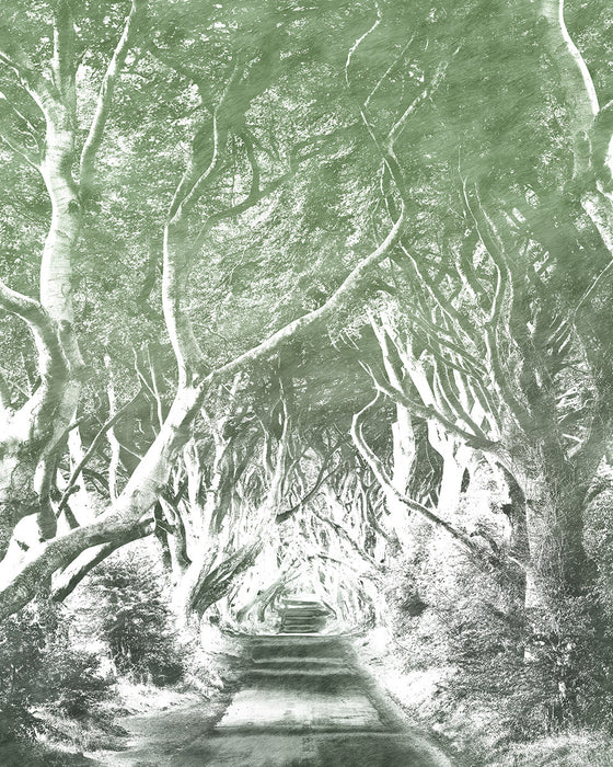 Digitaldruck Vlies Fototapete | Alley Graphite | 200 x 250 cm