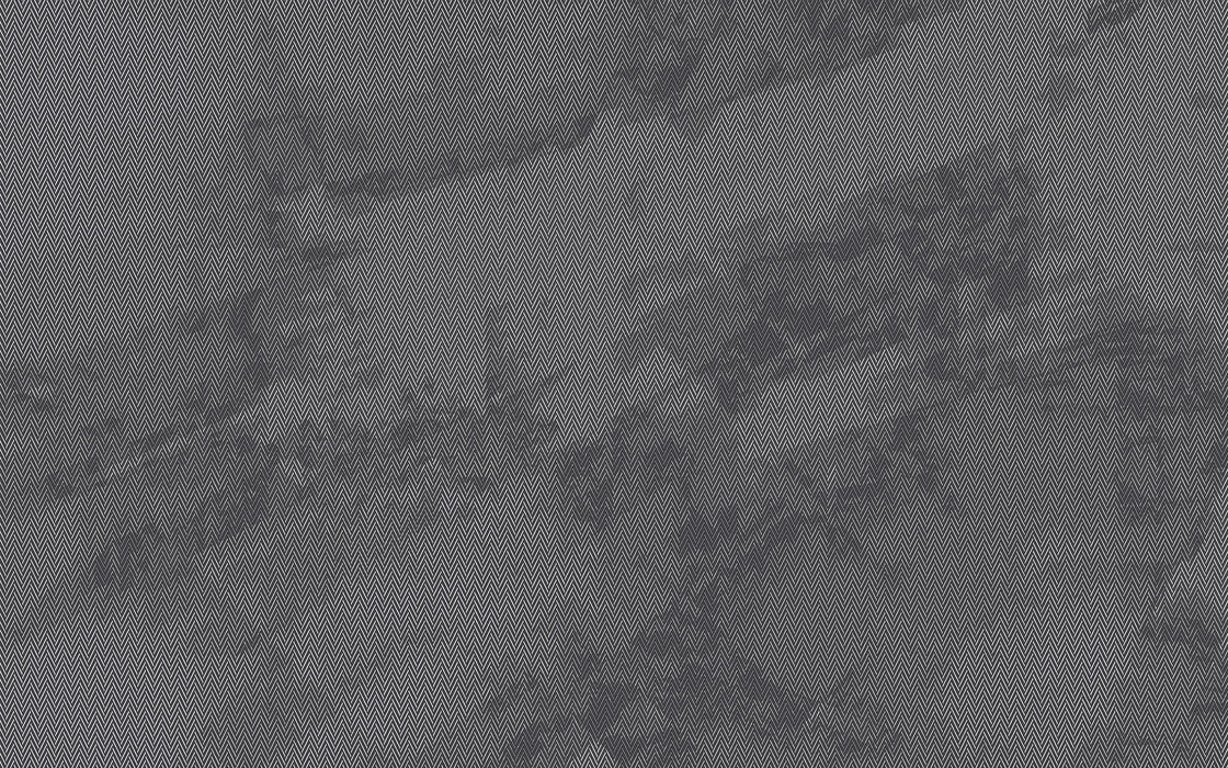 Digitaldruck Vlies Fototapete | Maya Tweed b/w | 400 x 250 cm