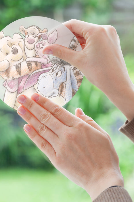 Komar NEU | Fenstersticker - Winnie the Pooh Wonderful - Größe 30 x 30 cm
