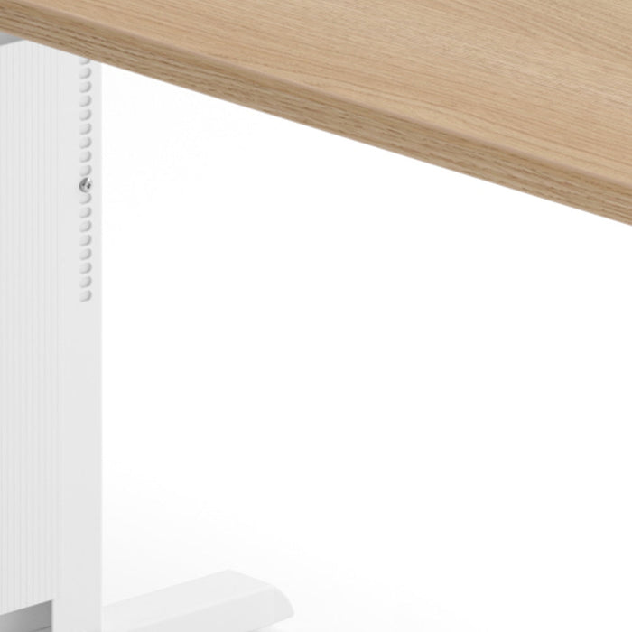 Hammerbacher | Schreibtisch C-Fuß 160x80cm Eiche / Weiß