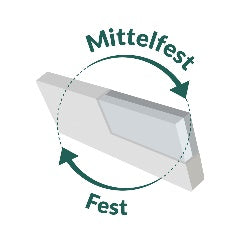 f.a.n. NEU | Lunora Fresh T | Matratze | Federkern