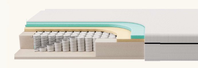 f.a.n. NEU | max spring