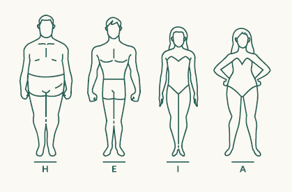 f.a.n. NEU | max foam