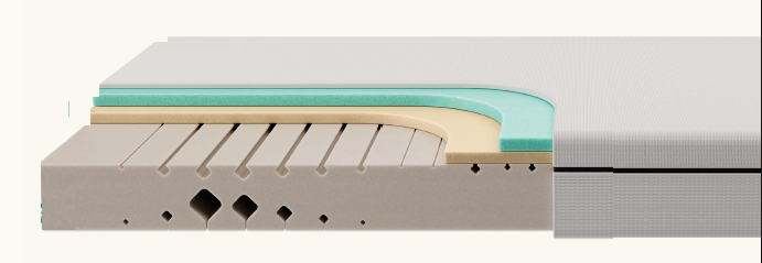 f.a.n. NEU | max foam