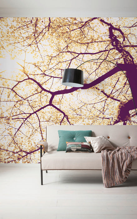 Komar NEU | Digitaldruck Vlies Fototapete - Sunshine - Größe 300 x 250 cm