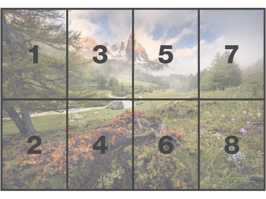 Papier Fototapete | Morning Walk | 368 x 254 cm