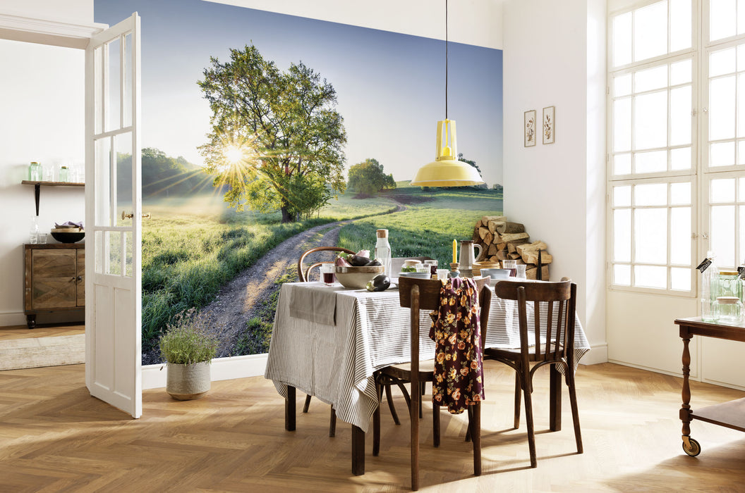 Papier Fototapete | Meadow Trail | 368 x 254 cm