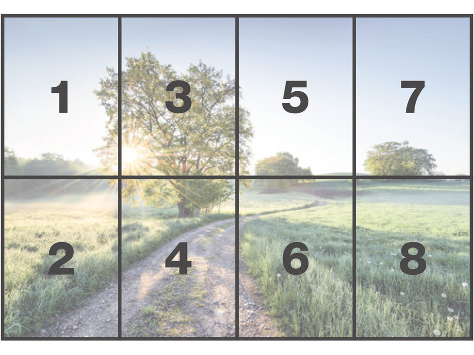 Papier Fototapete | Meadow Trail | 368 x 254 cm
