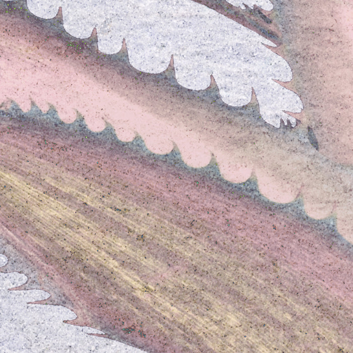 Papier Fototapete | Tropical Concrete | 368 x 254 cm