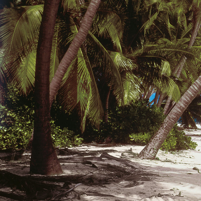 Papier Fototapete | Maldives | 368 x 254 cm
