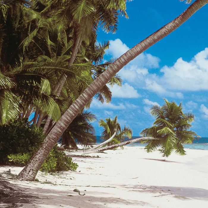 Papier Fototapete | Maldives | 368 x 254 cm