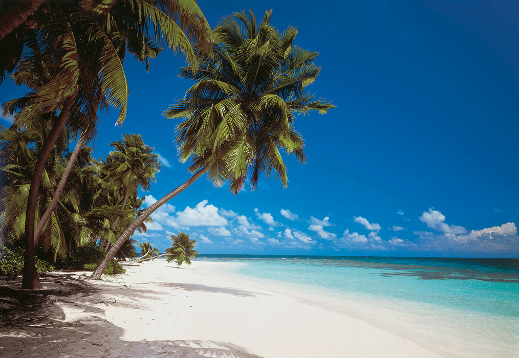 Papier Fototapete | Maldives | 368 x 254 cm