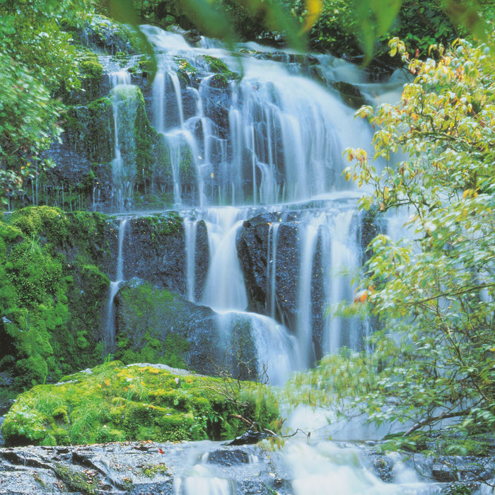 Papier Fototapete | Pura Kaunui Falls | 368 x 254 cm