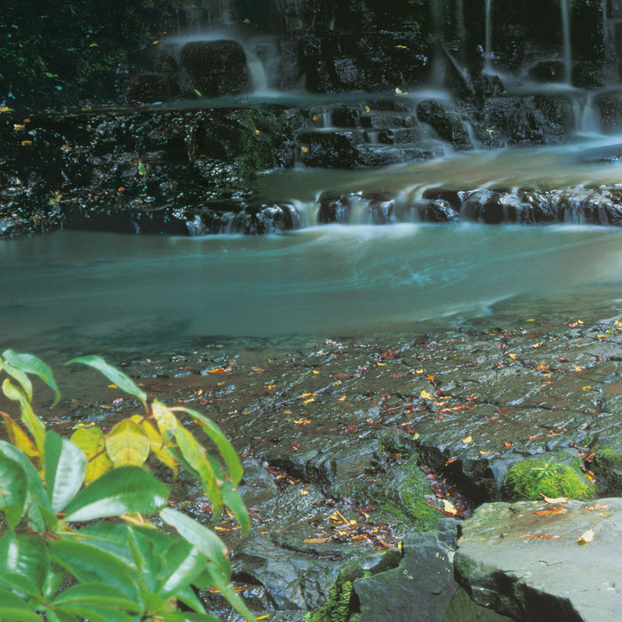 Papier Fototapete | Pura Kaunui Falls | 368 x 254 cm