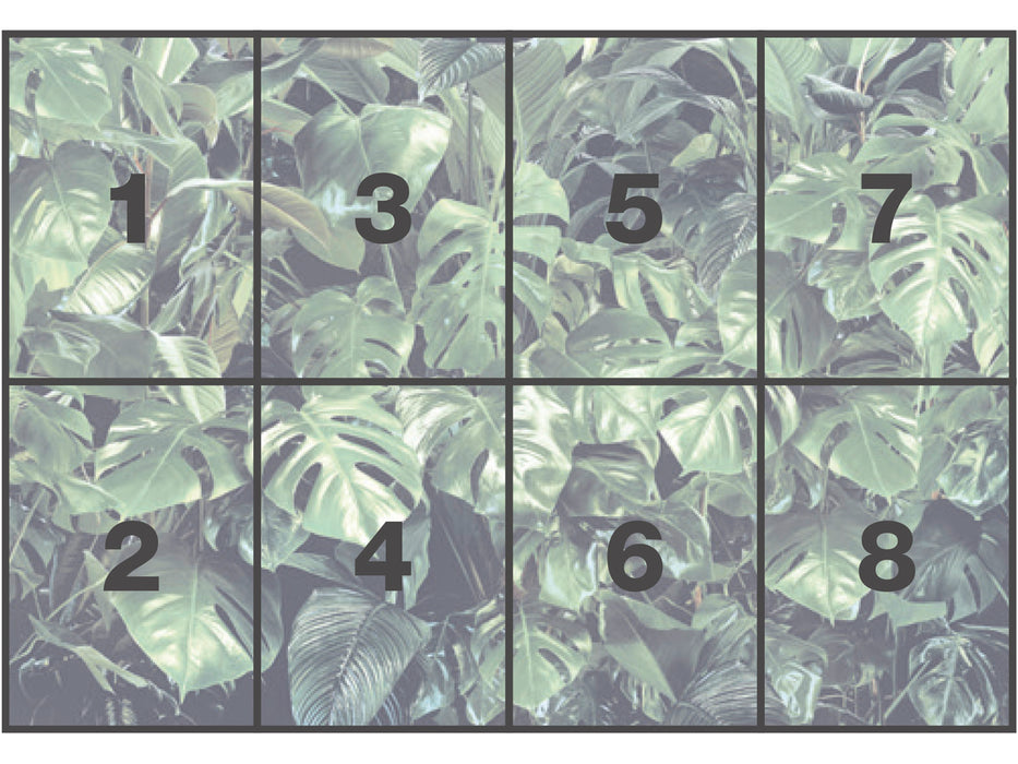 Papier Fototapete | Verdure | 368 x 254 cm