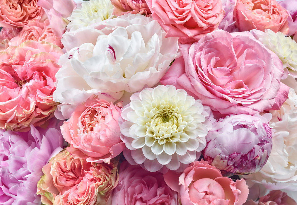 Papier Fototapete | Vibrant Spring | 368 x 254 cm