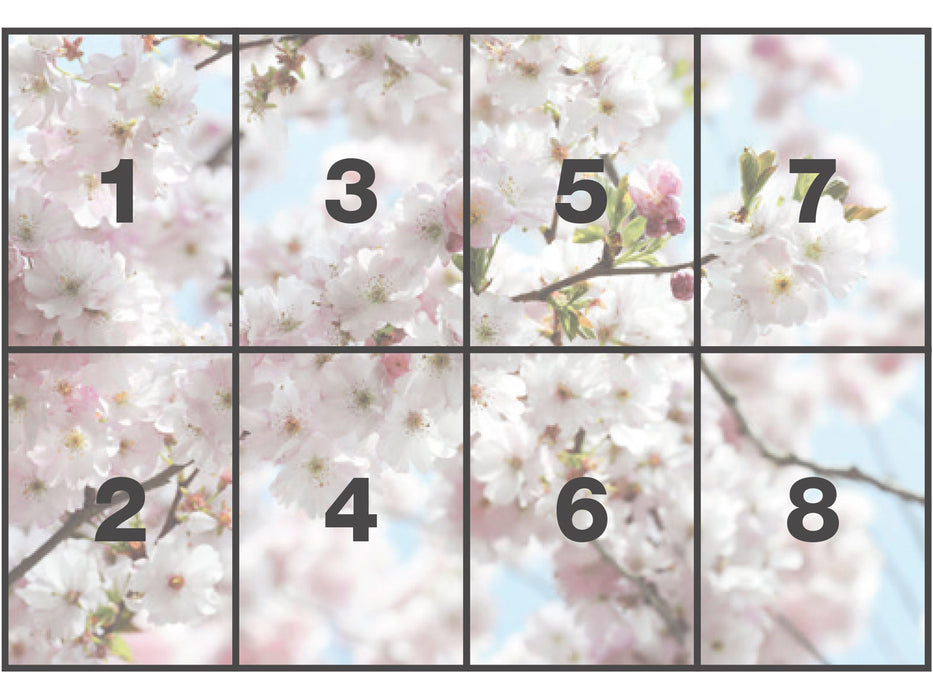 Papier Fototapete | Spring | 368 x 254 cm