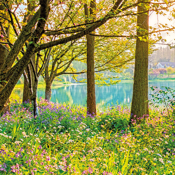 Papier Fototapete | Spring Lake | 368 x 254 cm