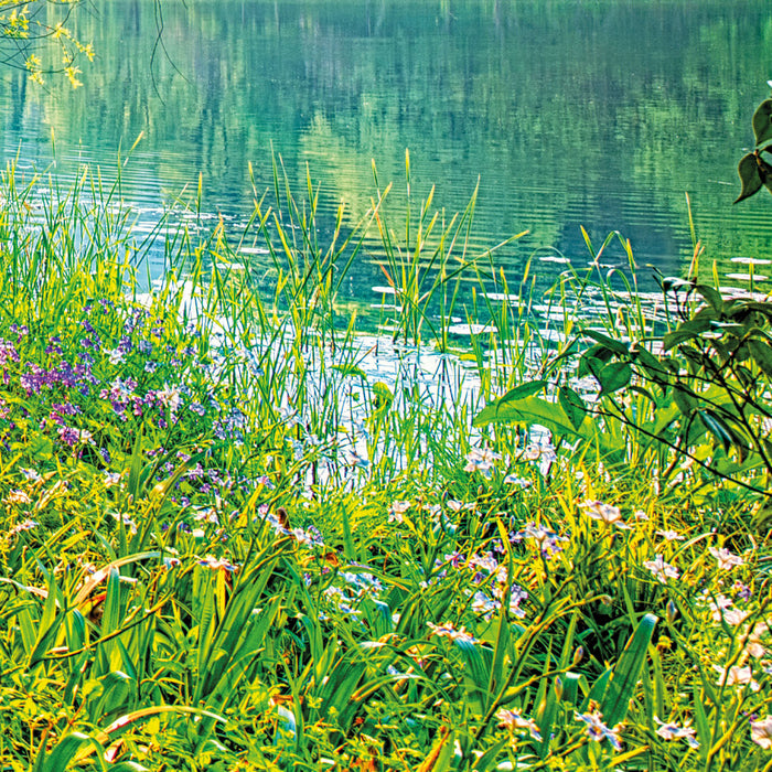 Papier Fototapete | Spring Lake | 368 x 254 cm