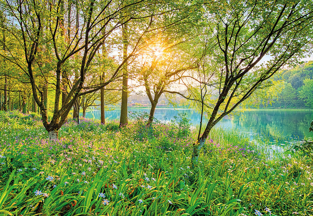 Papier Fototapete | Spring Lake | 368 x 254 cm